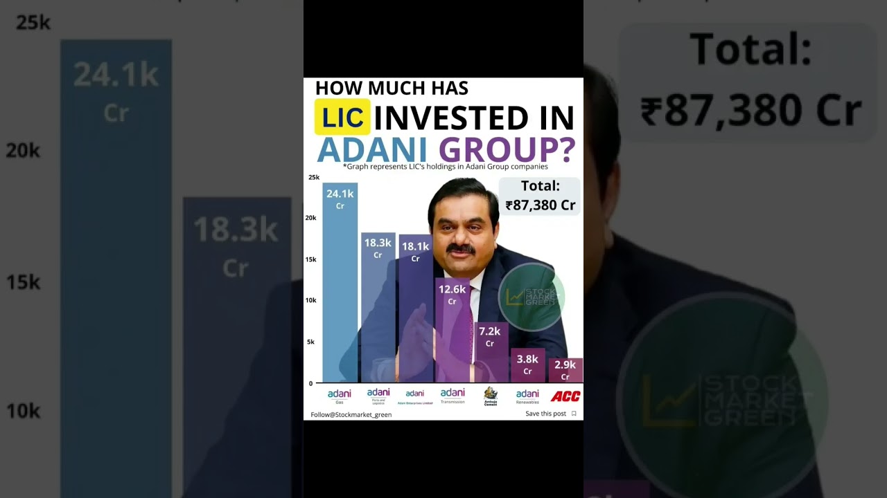 Lic Holdings in Adani Stocks