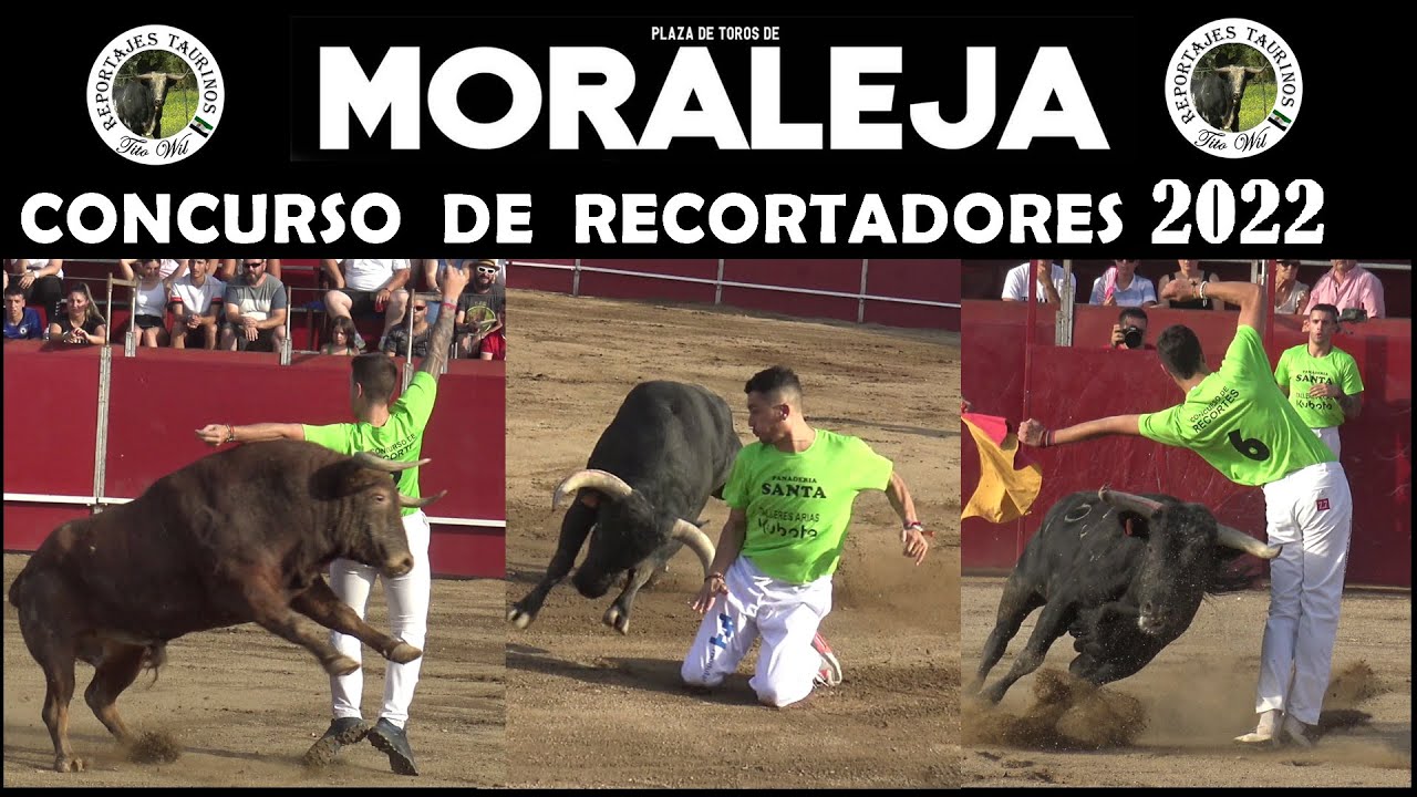 MORALEJA  CONCURSAZO DE RECORTES  #sanbuenaventura  CON TOROS DE CARMEN VALIENTE  2022  EN 4K