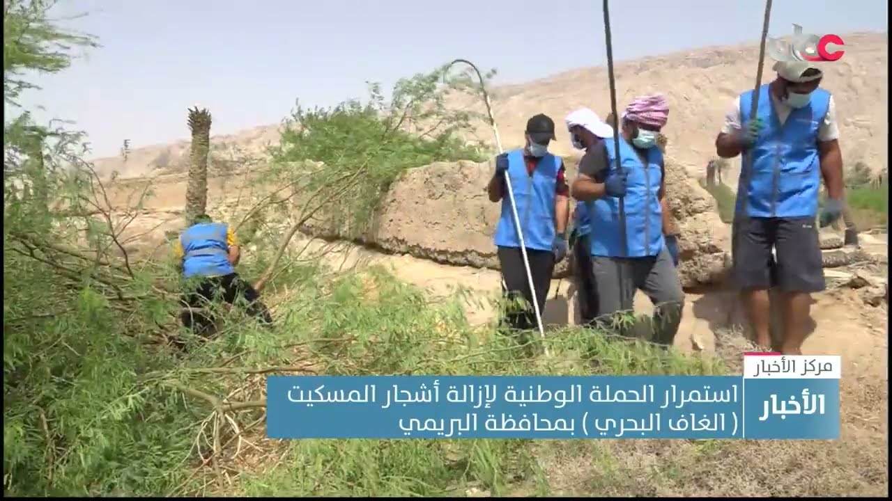 استمرار الحملة الوطنية لإزالة اشجار المسكيت ( الغاف البحري ) بمحافظة البريمي