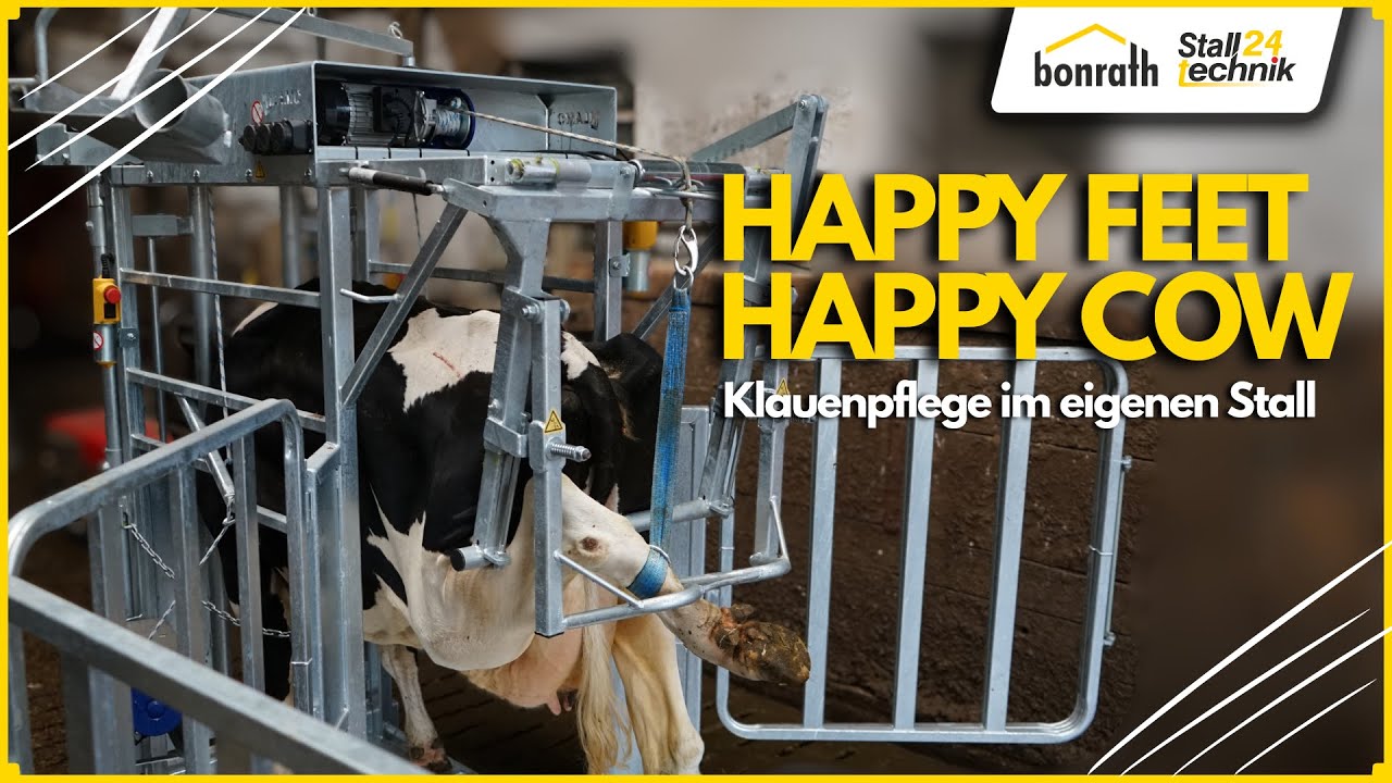 Klauenpflege im eigenen Stall: Der Klauenpflegestand im Praxistest 🐮✅#stalltechnik #landwirtschaft