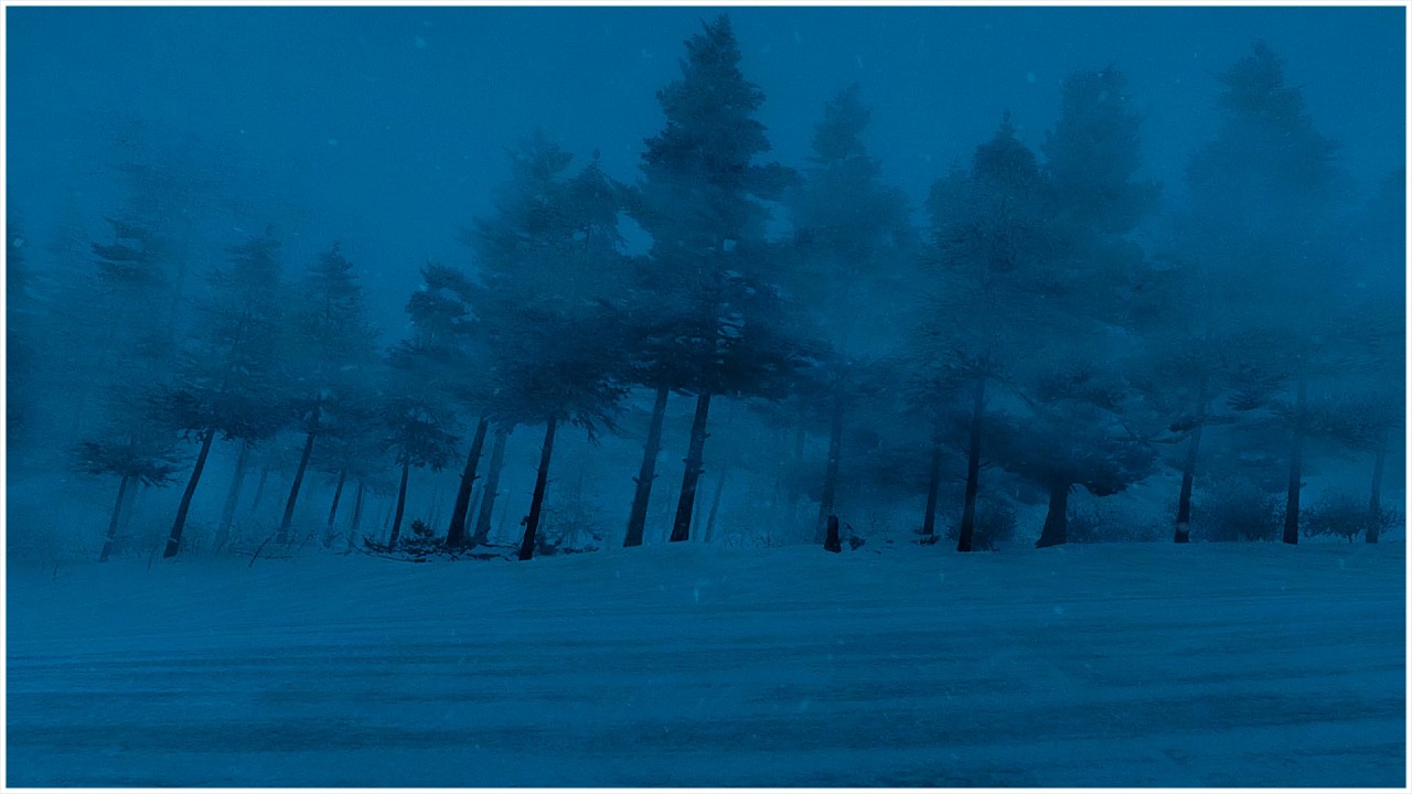 Frenzied Blizzard Howls & Blustery Snowstorm Sounds┇Wintry Wind Storm & Powerful Winter Gale Noises