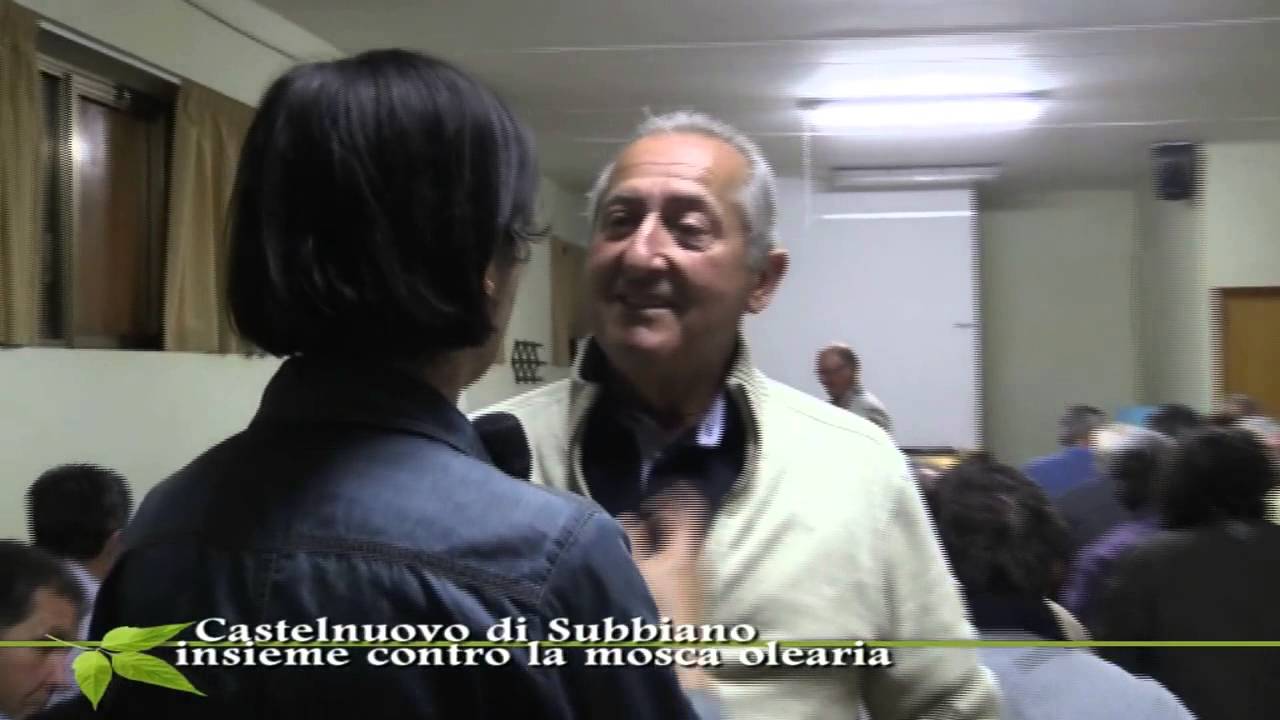 Castelnuovo di Subbiano: lotta alla Mosca Olearia