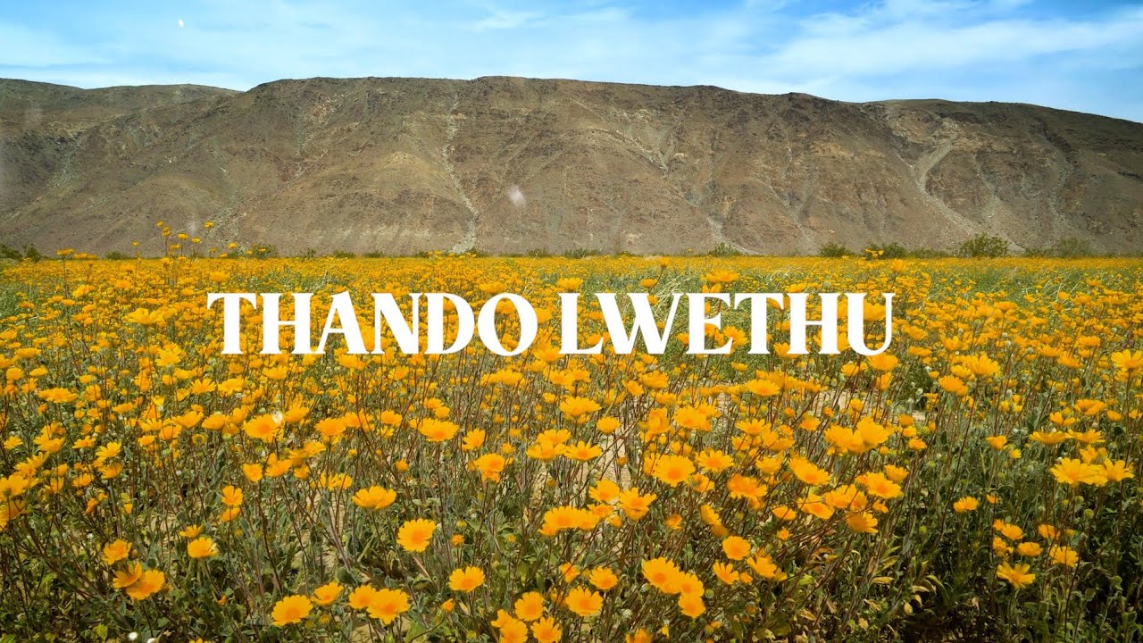 Lowsheen x Master KG - Uthando Lwethu (Feat. Mashudu) [Official]