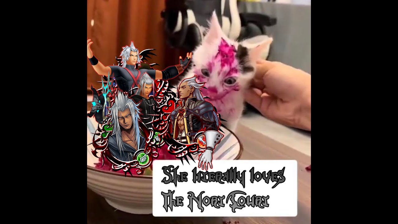 Kingdom hearts III Nort Court (Proud)