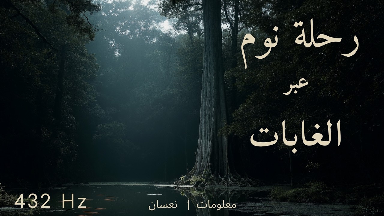 رحلة عبر الغابات - من الأمازون إلى التايغا | نوم عميق مع معلومات مهدئة | ساعه ونصف | 432Hz