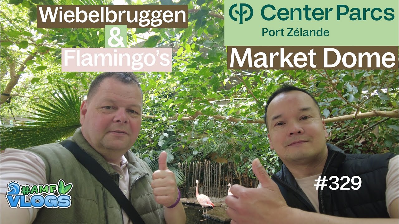 WIEBELBRUGGEN EN FLAMINGO'S IN DE MARKET DOME VAN CENTER PARCS PORT ZELANDE #centerparcs #amfvlogsnl