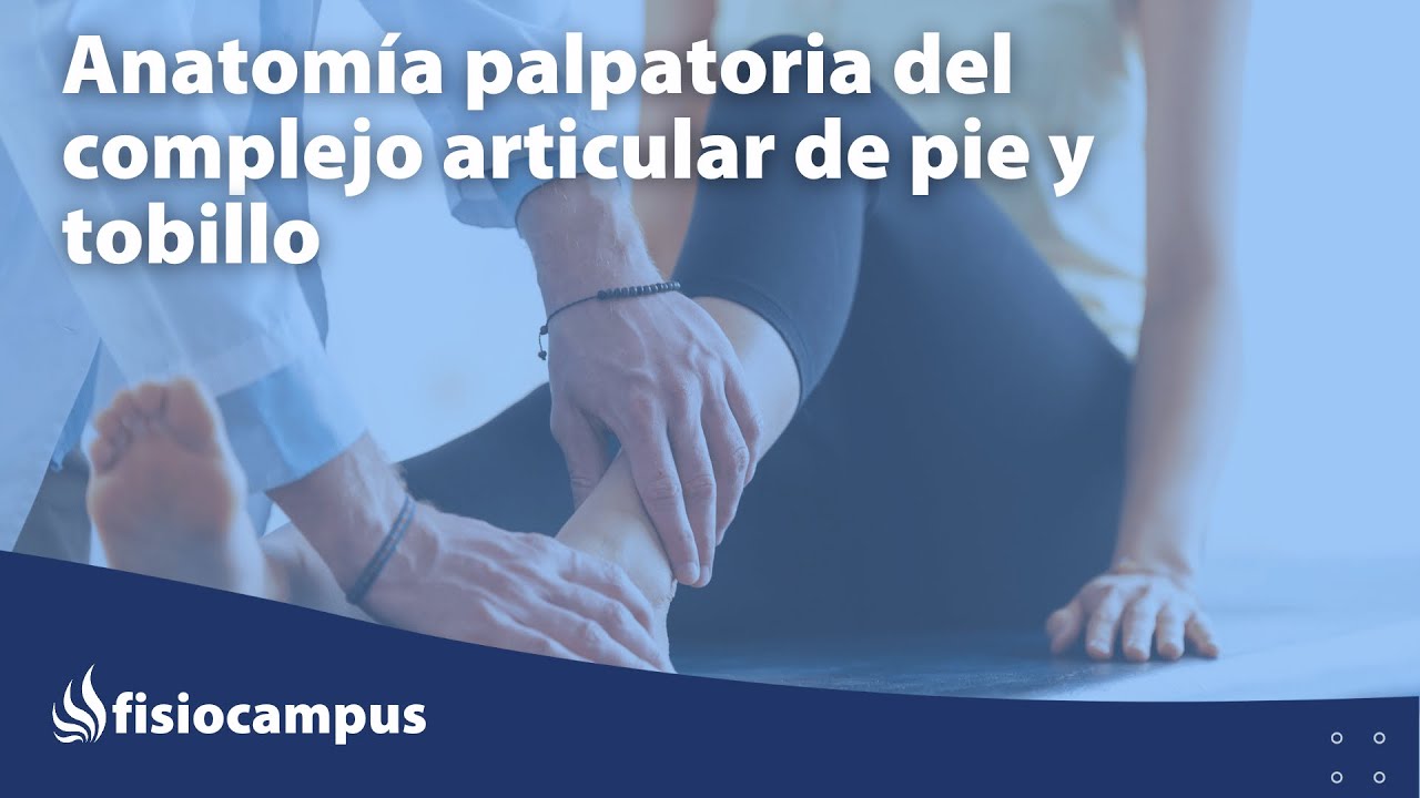 Anatomía palpatoria del complejo articular de pie y tobillo