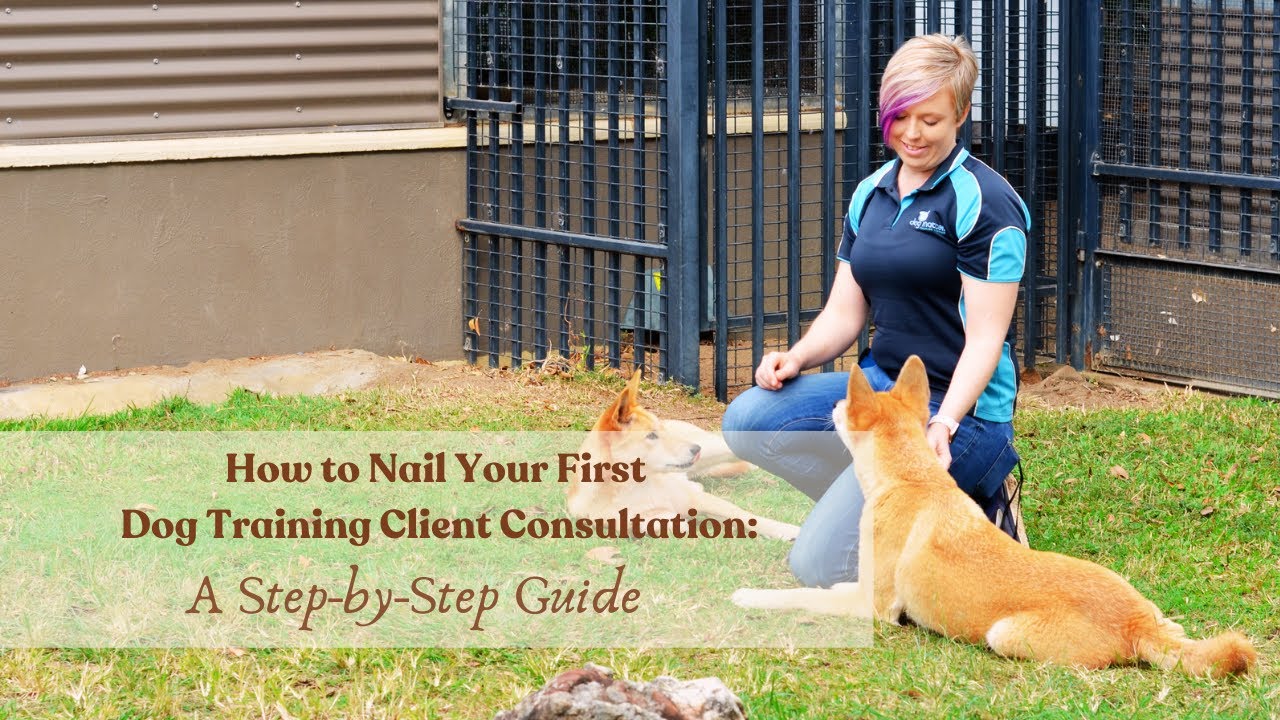 How to Nail Your First Dog Training Client Consultation A Step by Step Guide