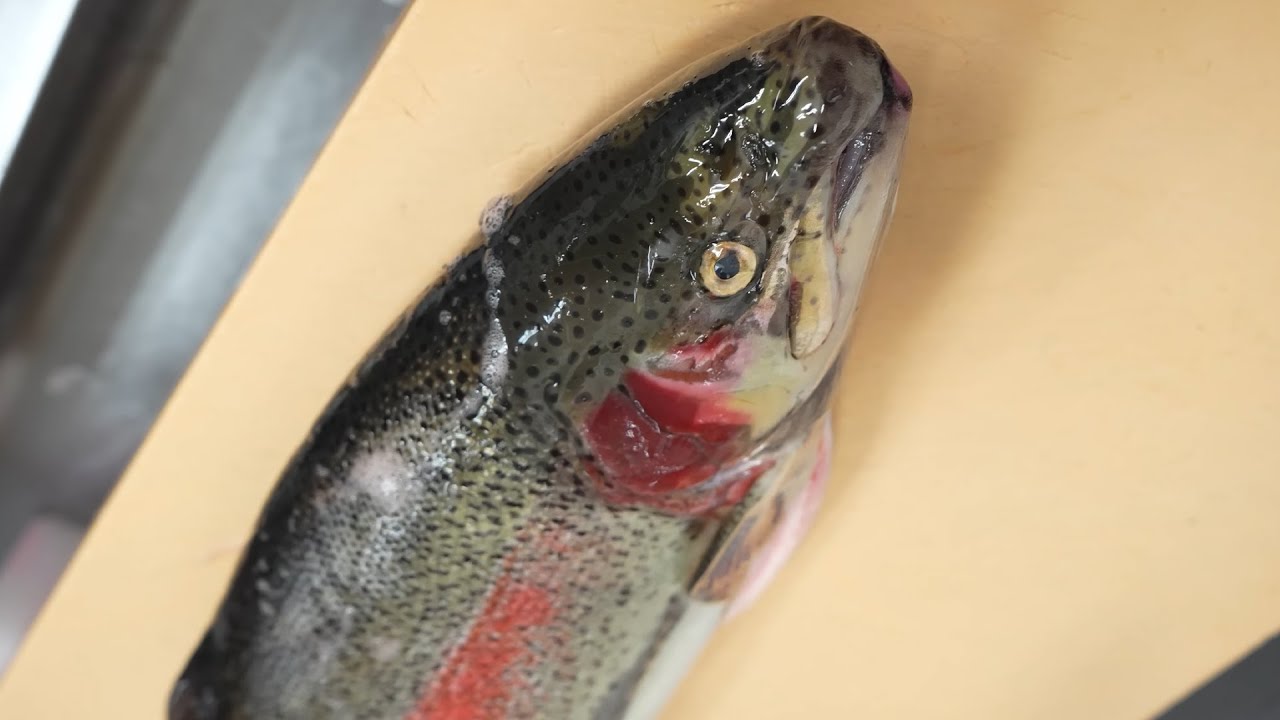 ご主人のクリエイティビティが産んだ個性を発揮する寿司屋「さかえ鮨」