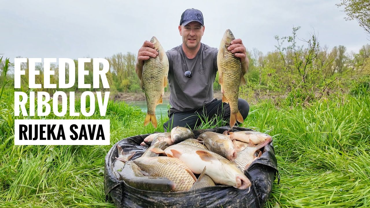 FEEDEROM NA RIJECI SAVI pecanje plotice i mrene feeder tehnikom Amir Taletovic