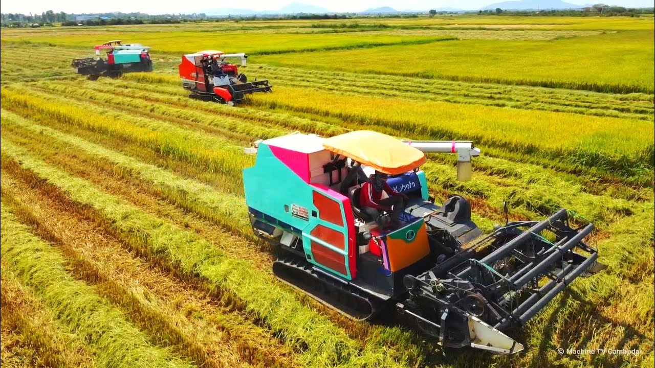 New Update Team Combine Harvester DC108X Rice Harvest Operator Skills Cropping Rice At Farm`s