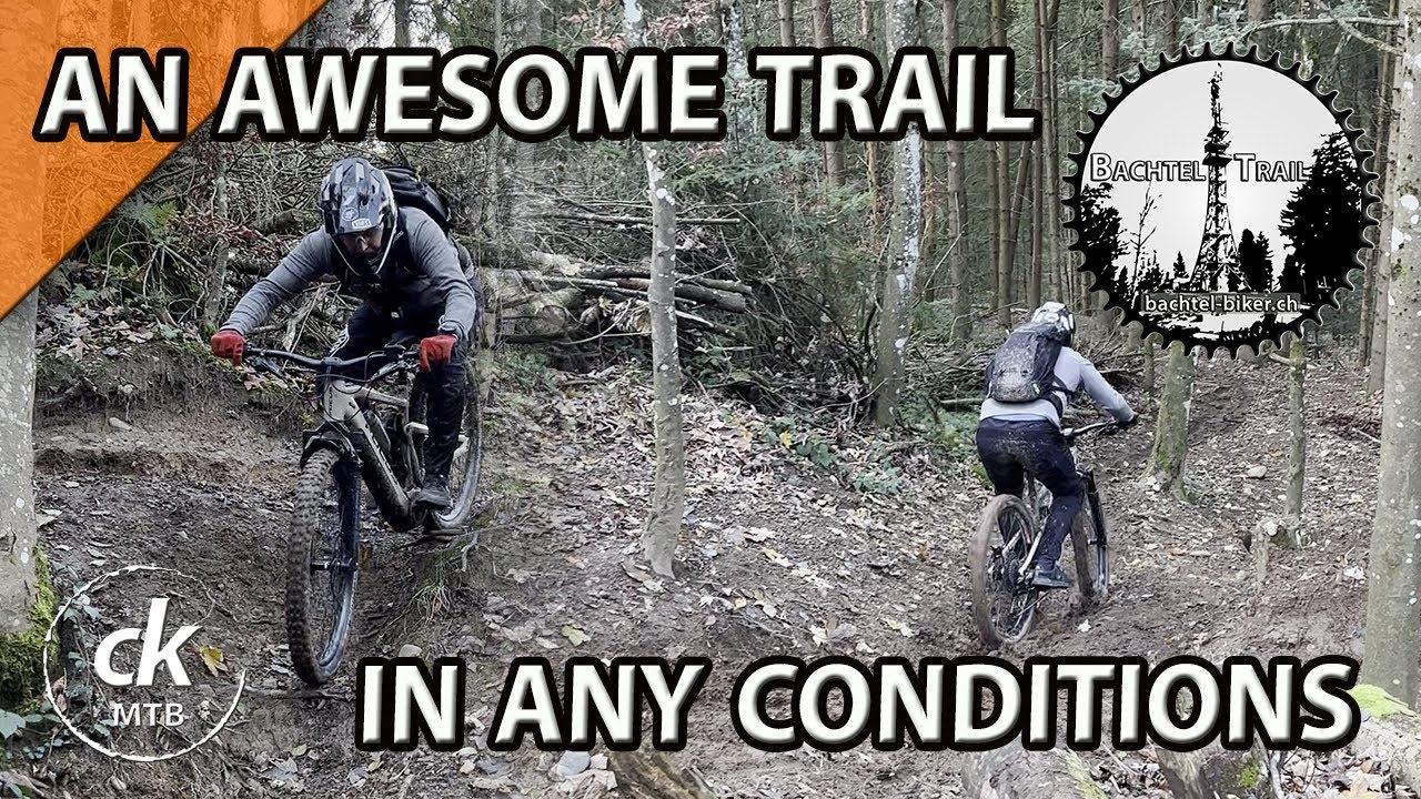 Bachtel Trail | Perfekter MTB Trail für Herbst und Frühling | Zürcher Oberland