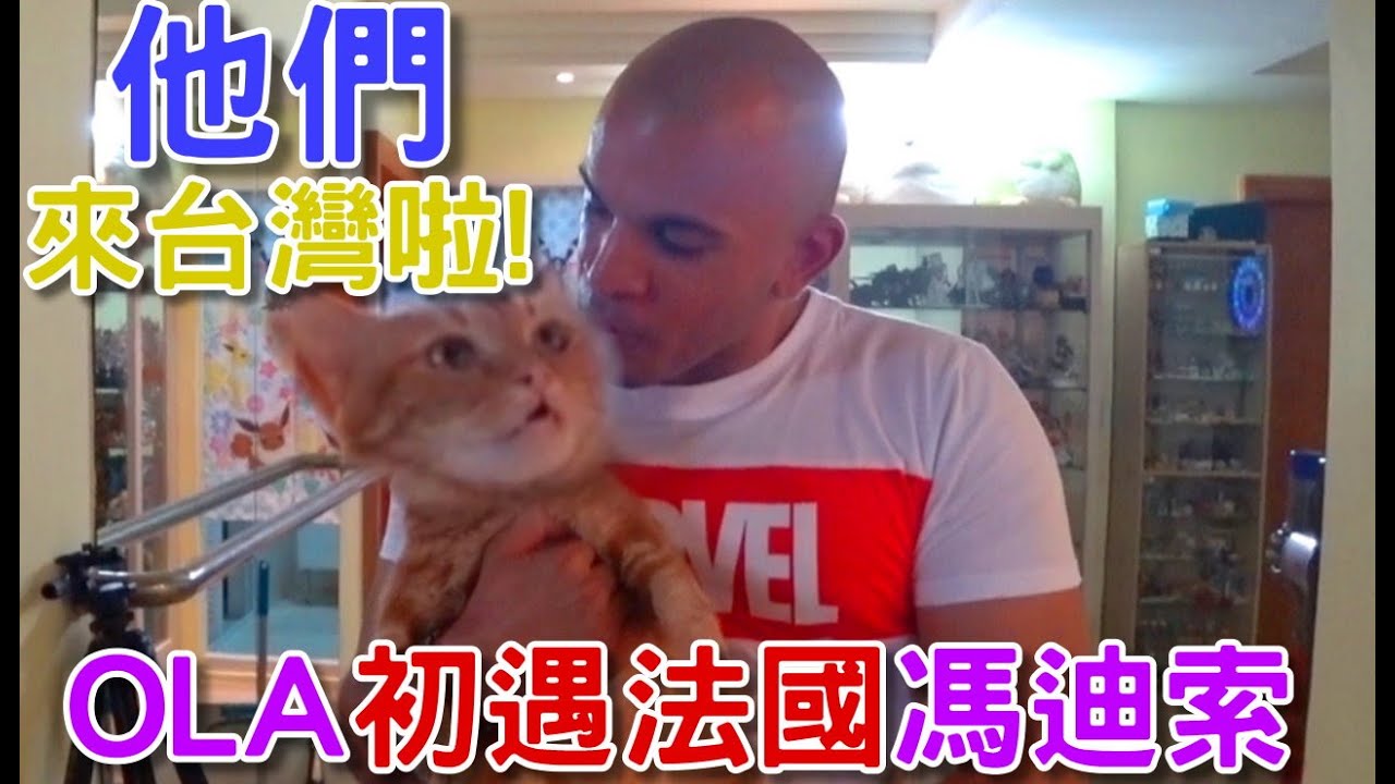 【菜喳】法國人愛上台灣貓和喳媽..還有光劍!!