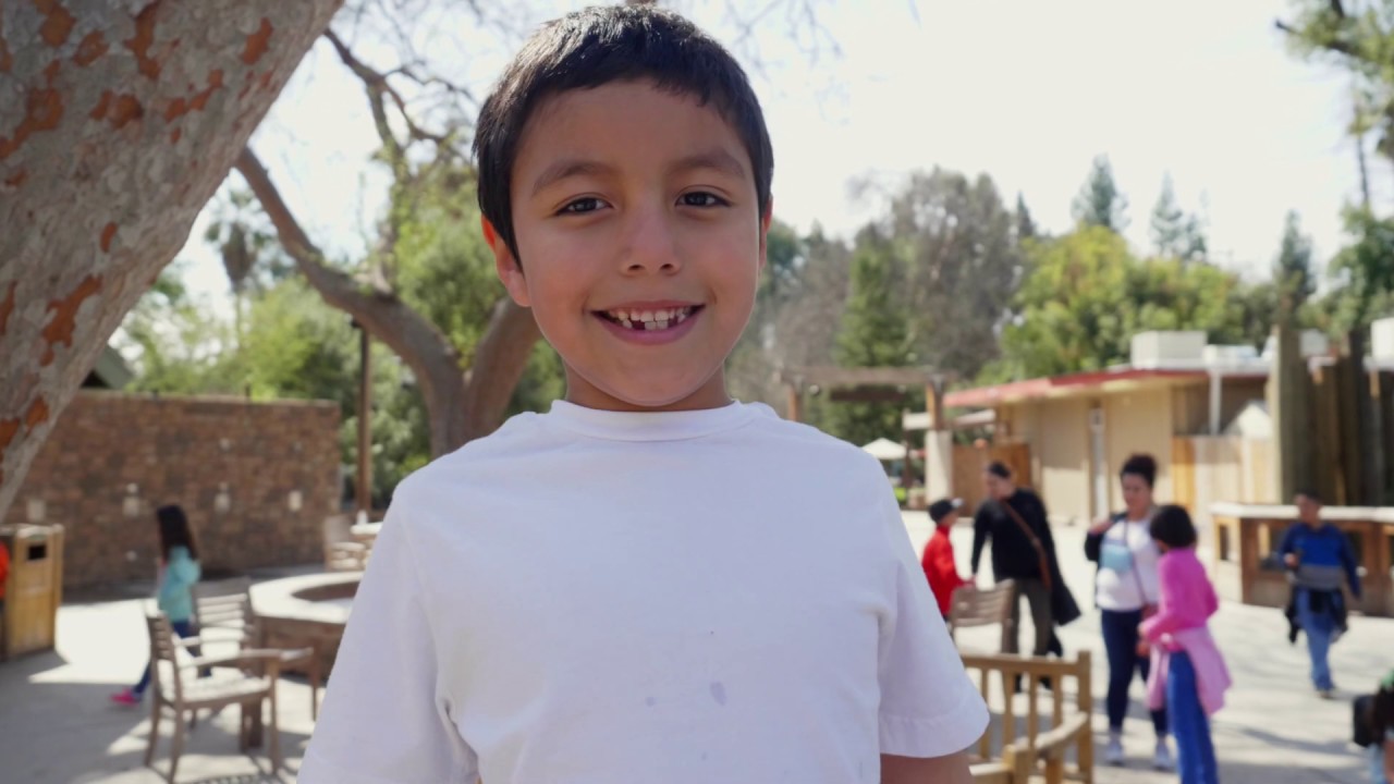 Fresno Chaffee Zoo Pal Video