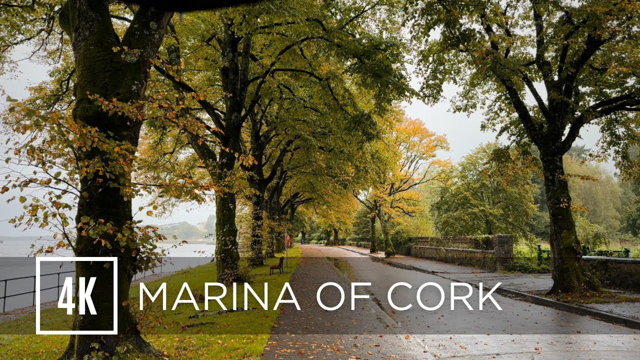 Walk under the Rain enjoying the Irish Autumn 🍂 | Cork City, Ireland | 4K HDR & 3D audio