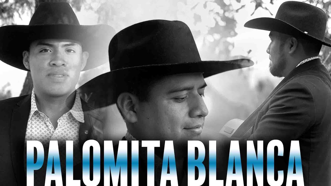 Palomita Blanca | Guitarras de la Sierra
