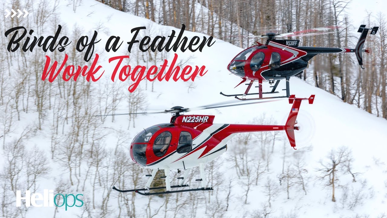 Birds of a Feather Working Together in Utah