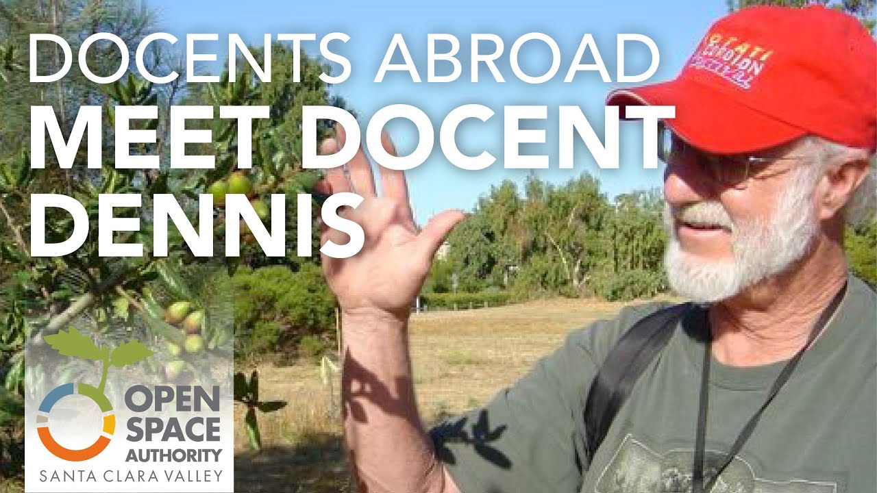 Docents Abroad - Meet Dennis Dowling!