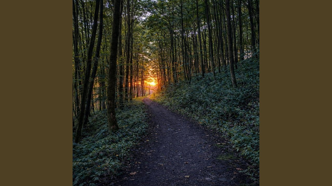 A Walk In The Woods
