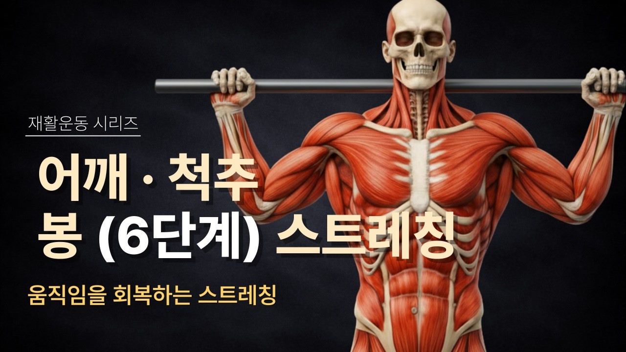 봉 하나로 어깨·등·척추까지 풀리는 전신 스트레칭 루틴