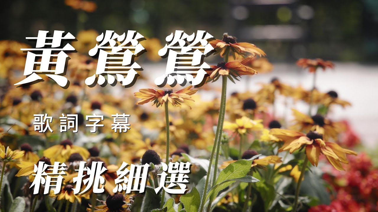（黃鶯鶯）🏜️（精挑細選）分享朋友hope朋友喜歡♥️♥️♥️♥️♥️