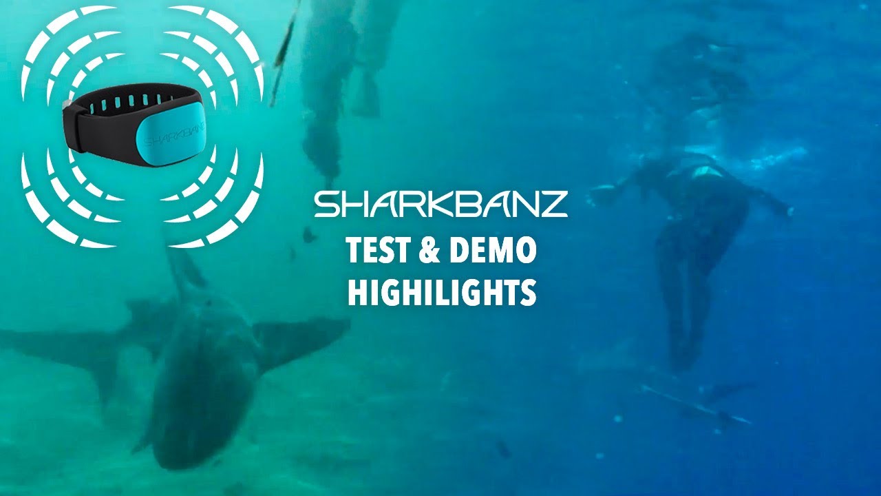 Sharkbanz Test Results - Bull Sharks, Hammerheads, Caribbean Reef, Blacktips, Lemons