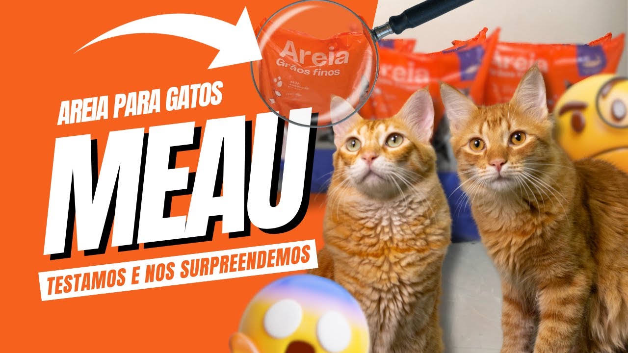 Areia MEAU Grãos Finos é boa? Resenha sincera com meus GATOS