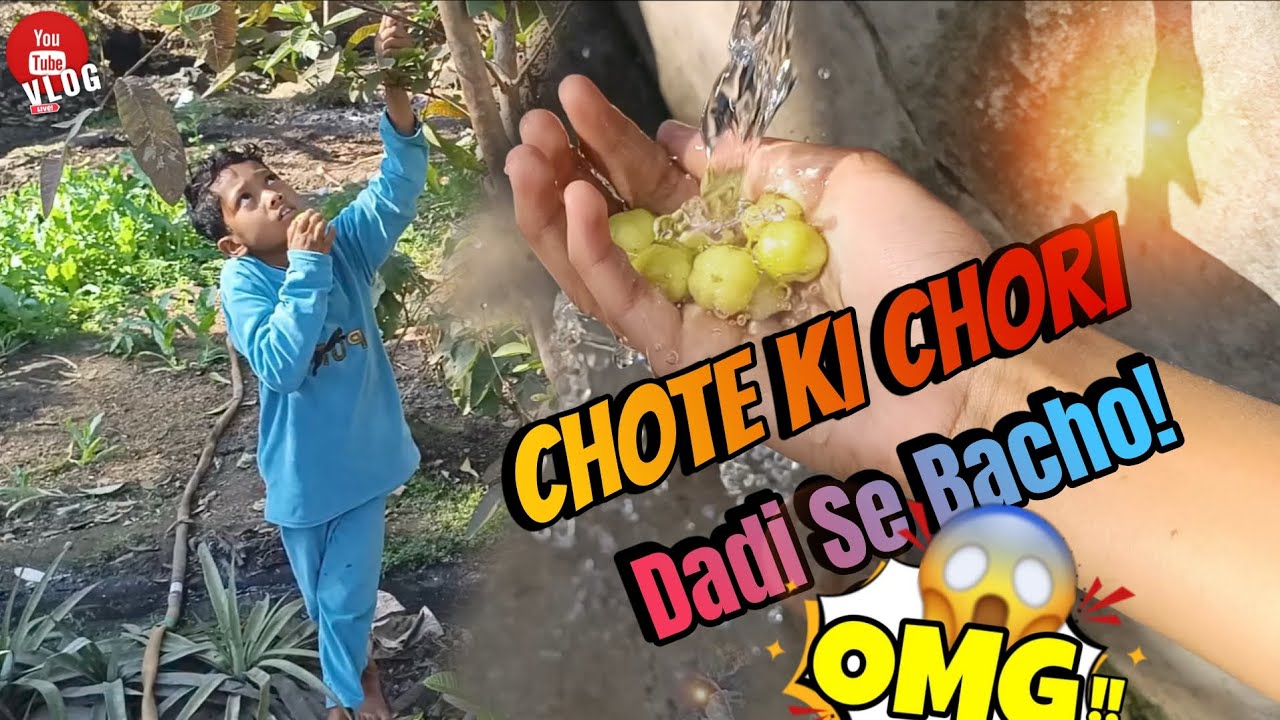 Chote Ne Kya Chura Liya? 😱 Dadi Ko Pata Na Chale!