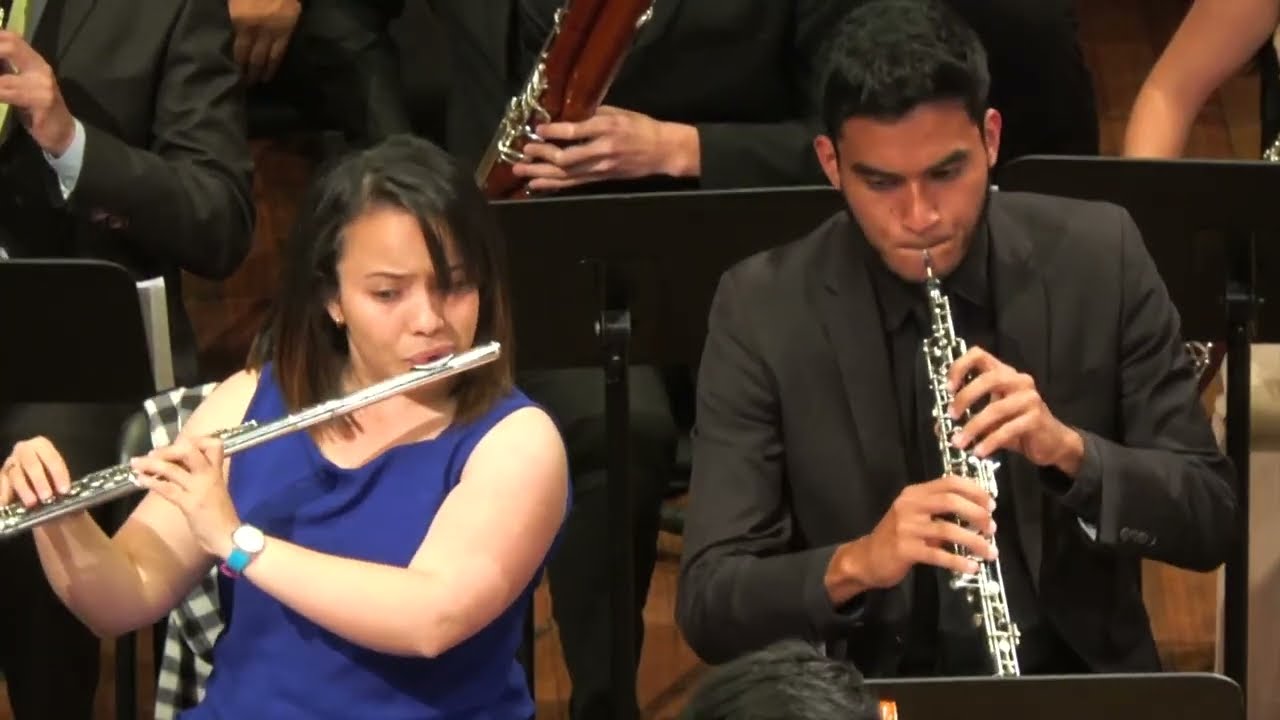 Orquesta Sinfónica Capital