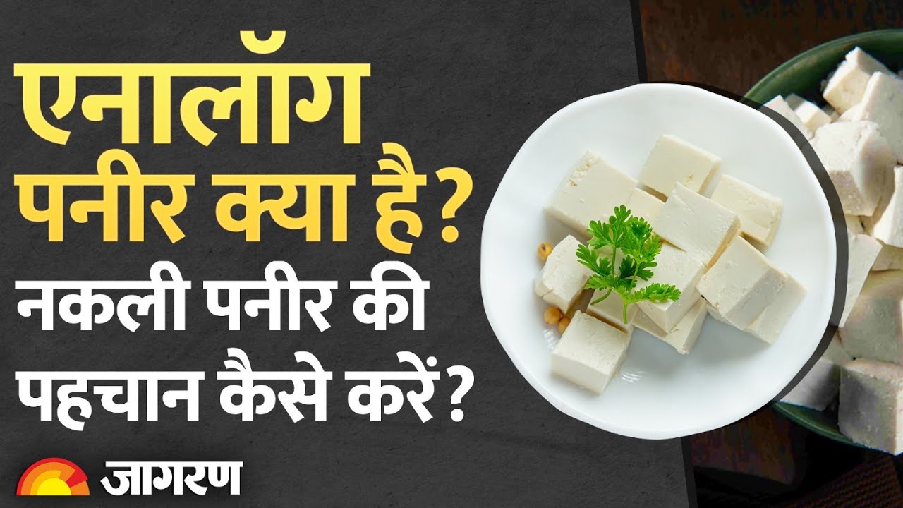 Analogue paneer, fake paneer क्या होता है, यह सेहत के लिए कितना हानिकारक है? इसकी पहचान कैसे करें?