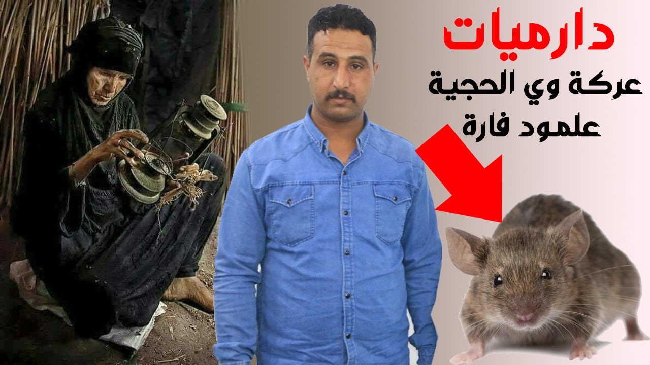عركة علمود فارة الحجية ملختة بالدارميات جلسة منتدى ملوك الدارمي 2021