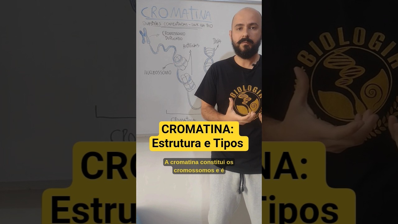 CROMATINA: Estrutura e Tipos #shorts #enem #biologia