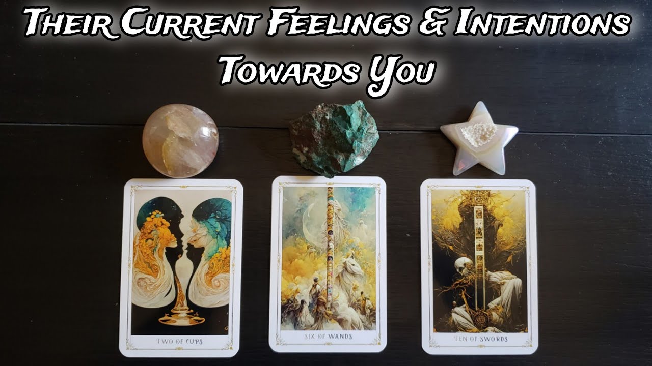🦭💕 Their Current Feelings & Intentions Towards You! 🧁🦔 Pick A Card Love Reading