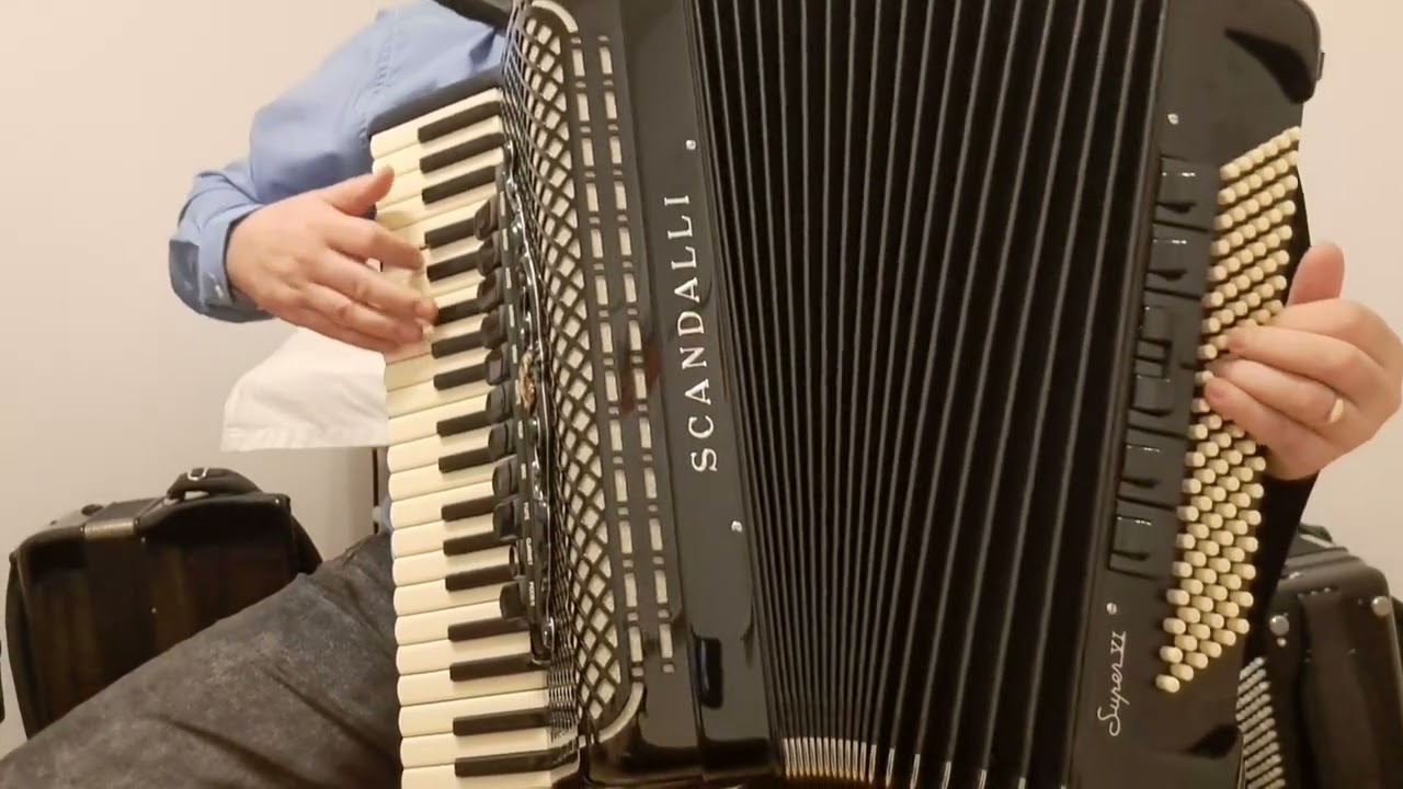 Ne klepeći nanulama ( cover ), Davor Horvat, Škola harmonike
