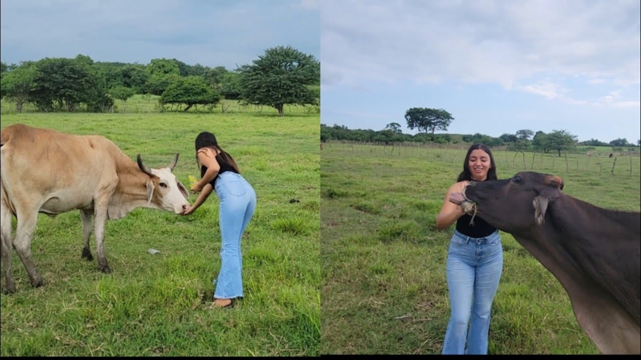 LA VACA CASI ME COME LA MANO 🥲MIREN QUE DIVERTIDO 😂
