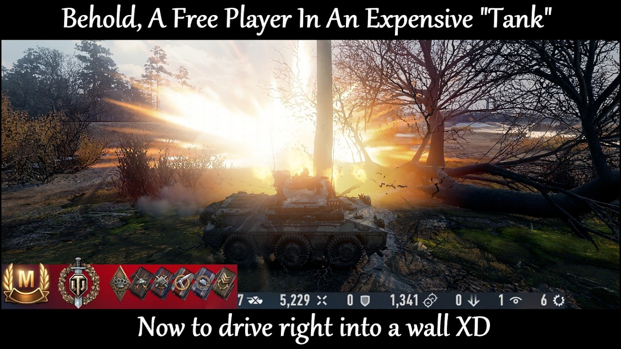 Ashigaru Ace & Blind Firing EBRs - World of Tanks