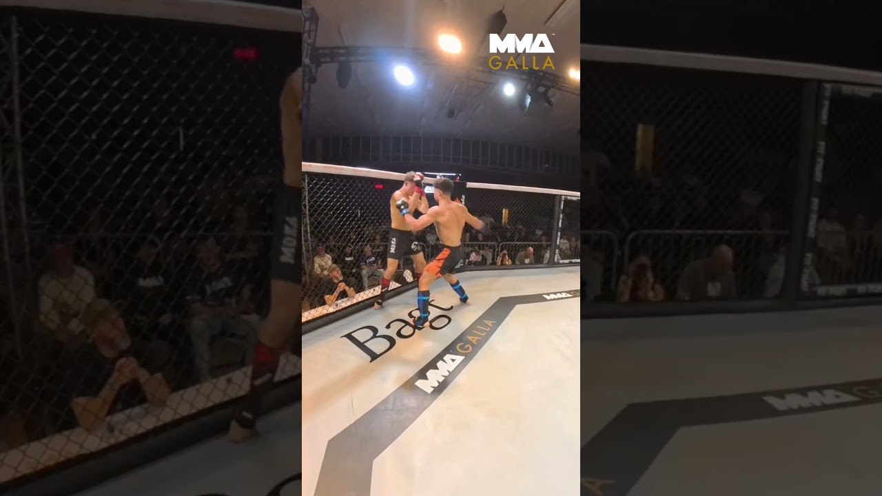 🎥 RefCam Footage! 🎥Straight from inside the cage