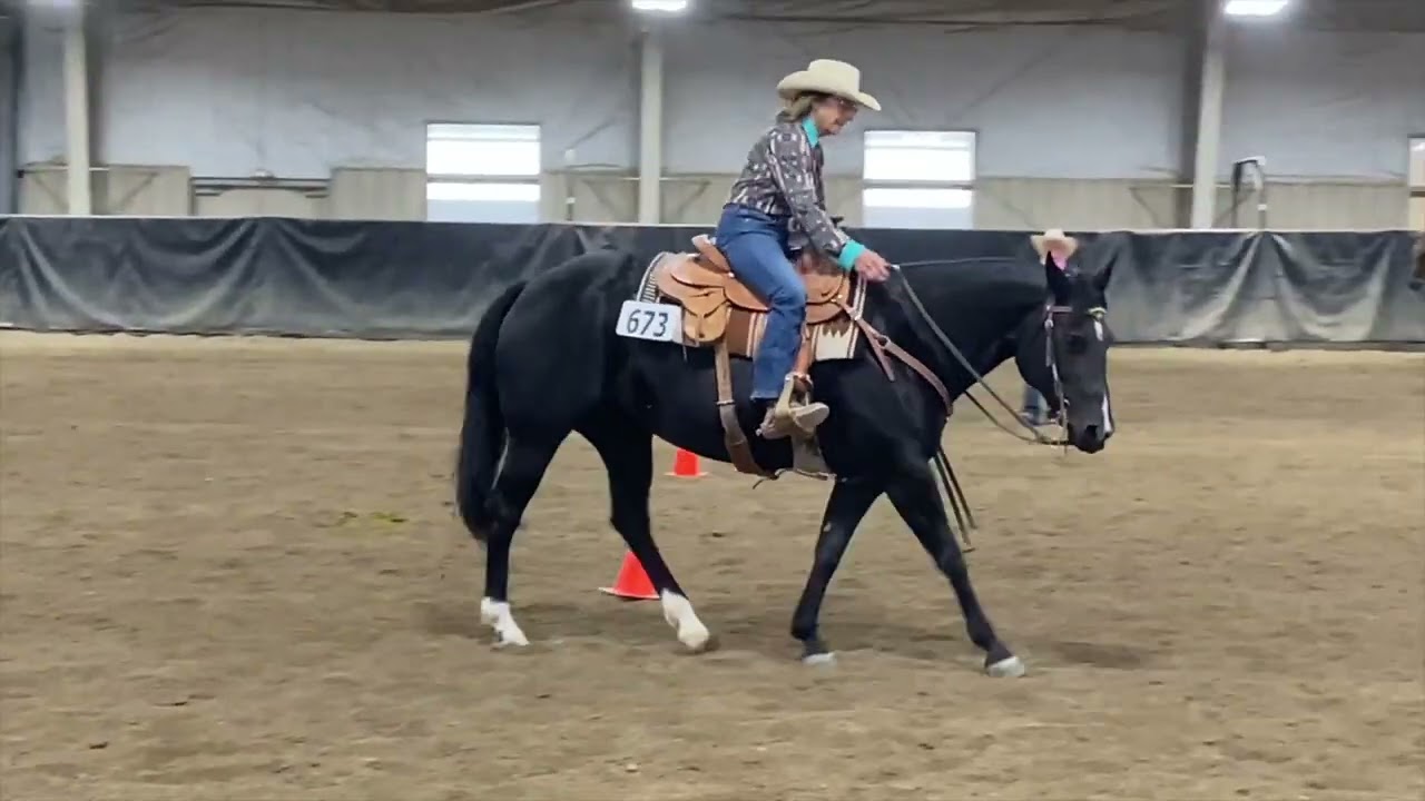 Trail Big Piney AQHA 1