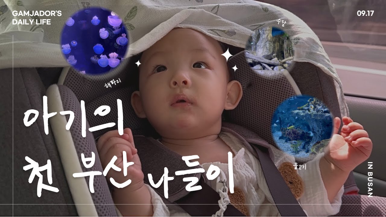 [감자도리의 일상] 처음으로 부산에 놀러 간 아기의 바쁜 하루 🐳🌊💙