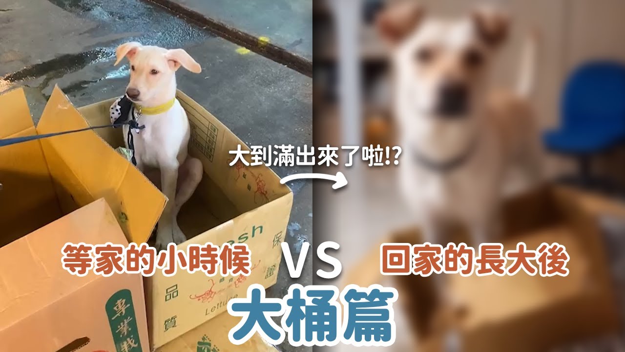 等家的小時候VS回家的長大後-大桶篇