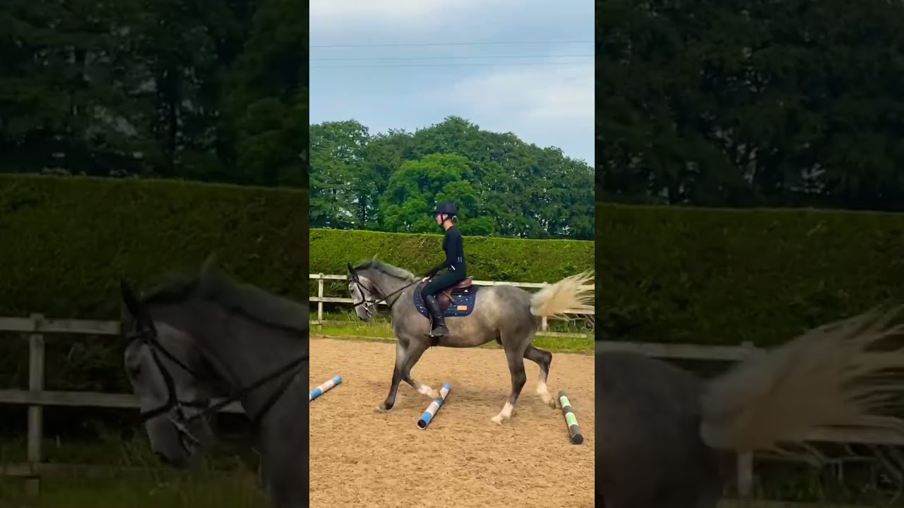 Customer in our super popular Teal Space FlexiTabzSystem Horse Saddle Pad