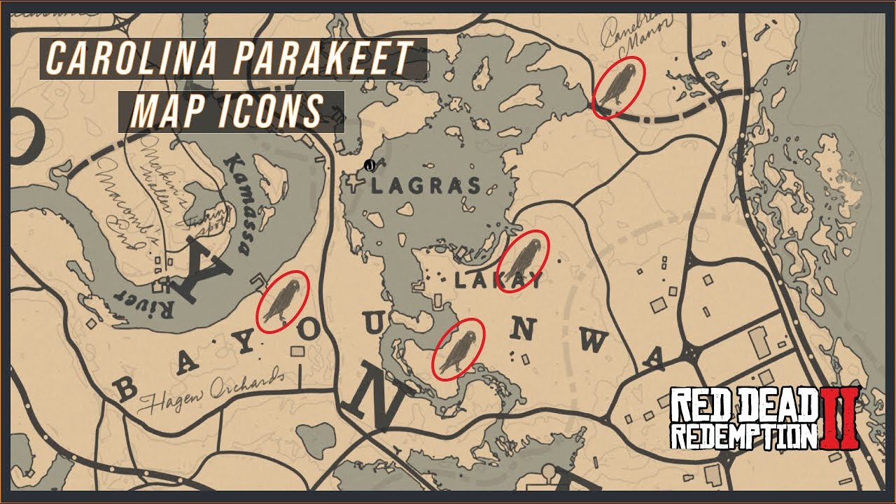 Revealing Four Carolina Parakeet Map Icons + Hunting & Collecting All of Them!