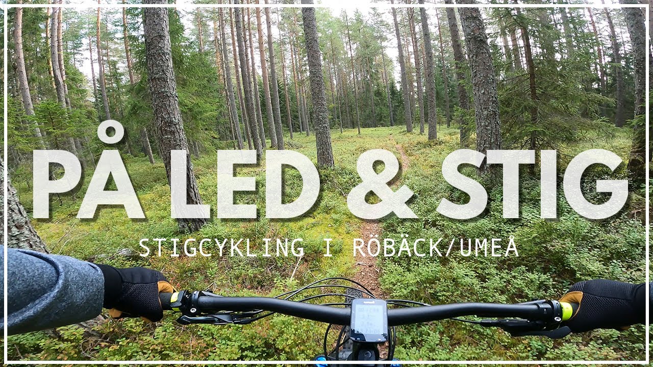 Stigcykling Ume&aring;/R&ouml;b&auml;ck (MTB)
