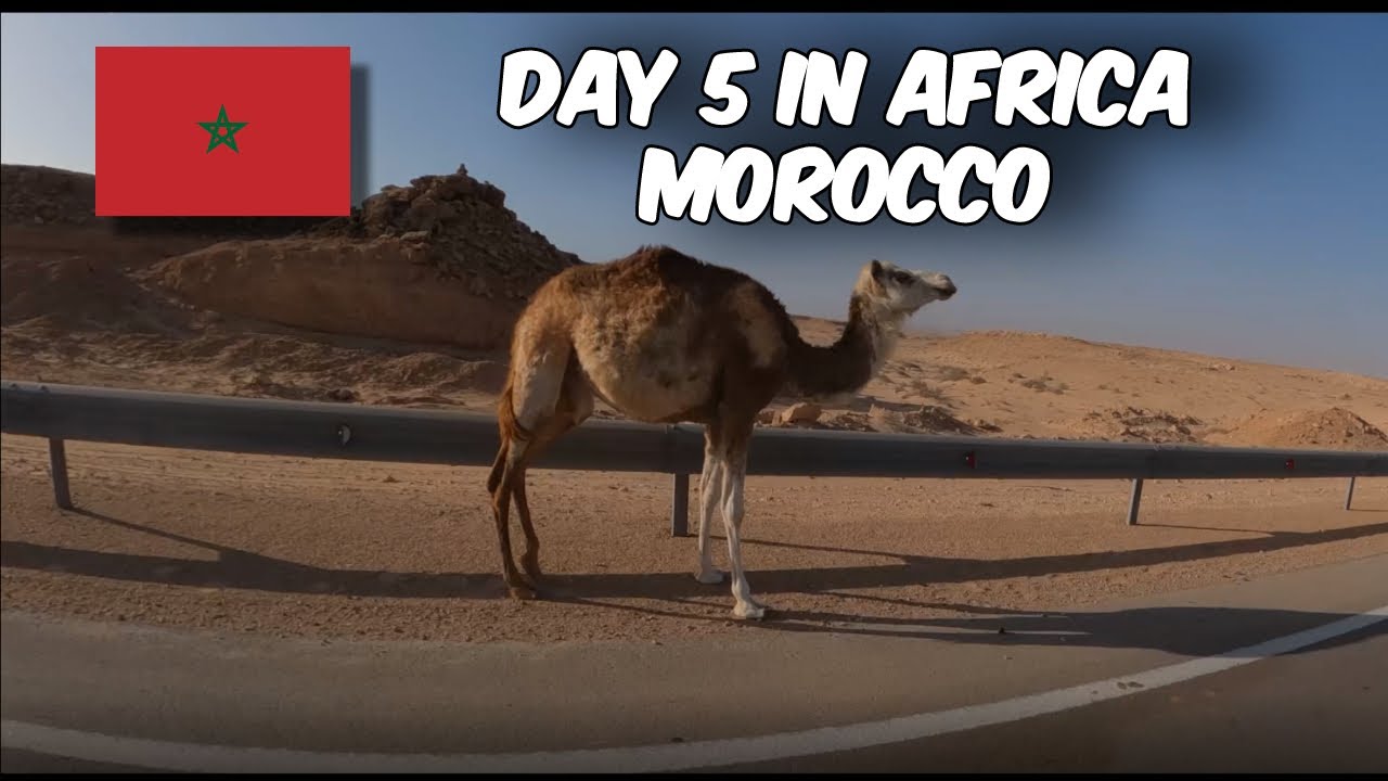 AFRICA 🌴DAY 5 🐪 Moroccan Sahara 🇲🇦 730km Ride in Extreme wind 50 km/h 🇲🇦❤️