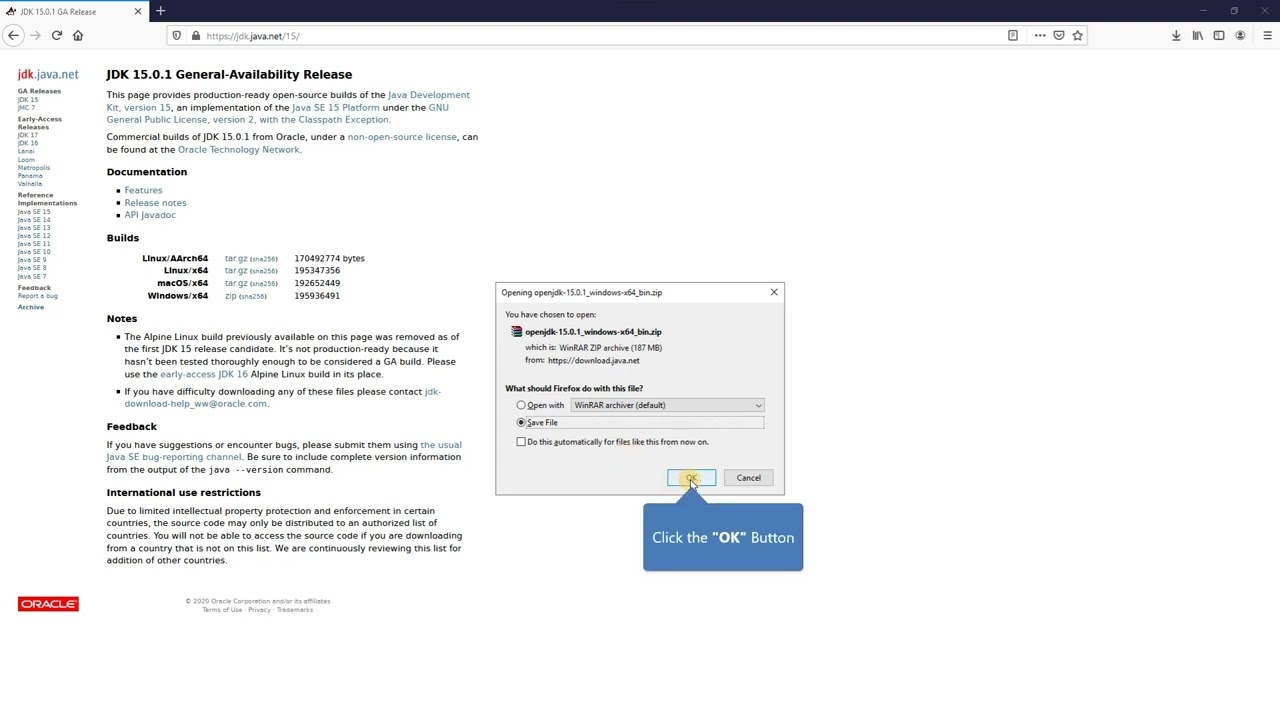 Java Development Kit builds, from Oracle
