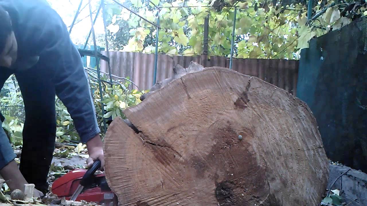 GoodLuck Моя бензо пила.mp4