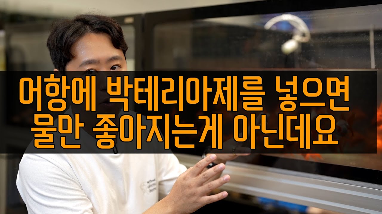 어항에 박테리아제를 넣으면 물만 좋아지는게 아닙니다 ㅋㅋ