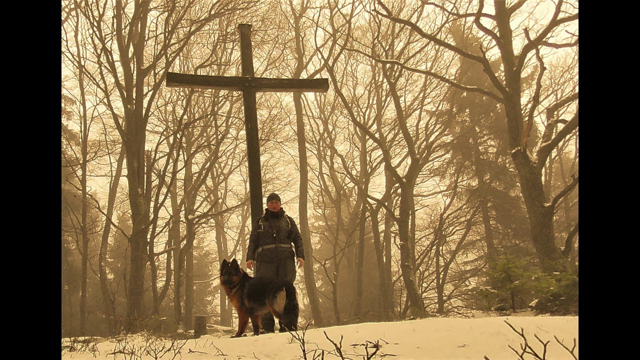 Wanderung zum Hinteren Stoppelkopf im Pfälzerwald