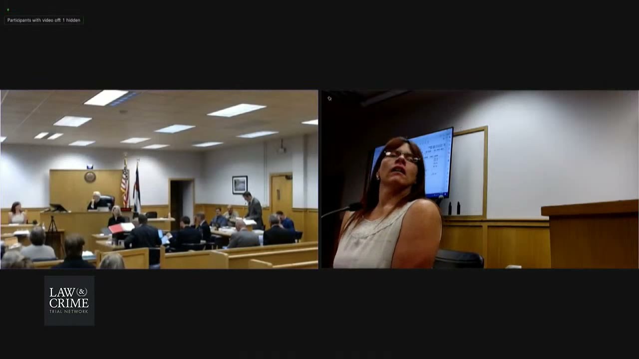 Mark Redwine Trial Day 10 - Cross Exam of Brandie Flann - Fmr VP Pine River Valley Bank
