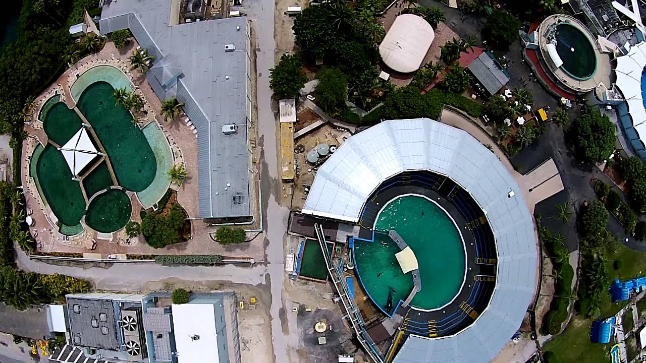 Drone - Lolita August 2 2014 - Miami SeaQuarium